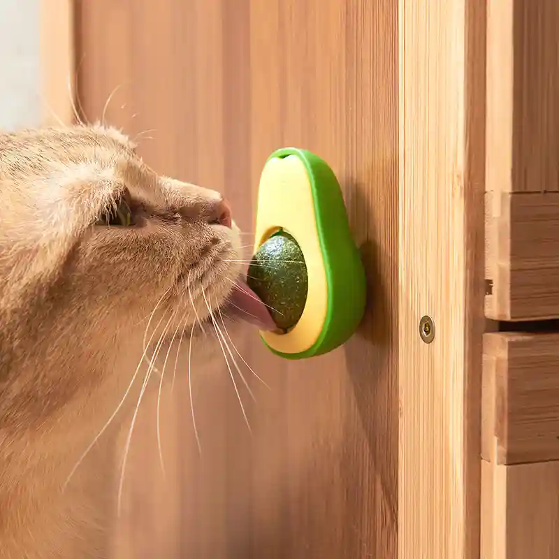 Avocado Catnip Bal