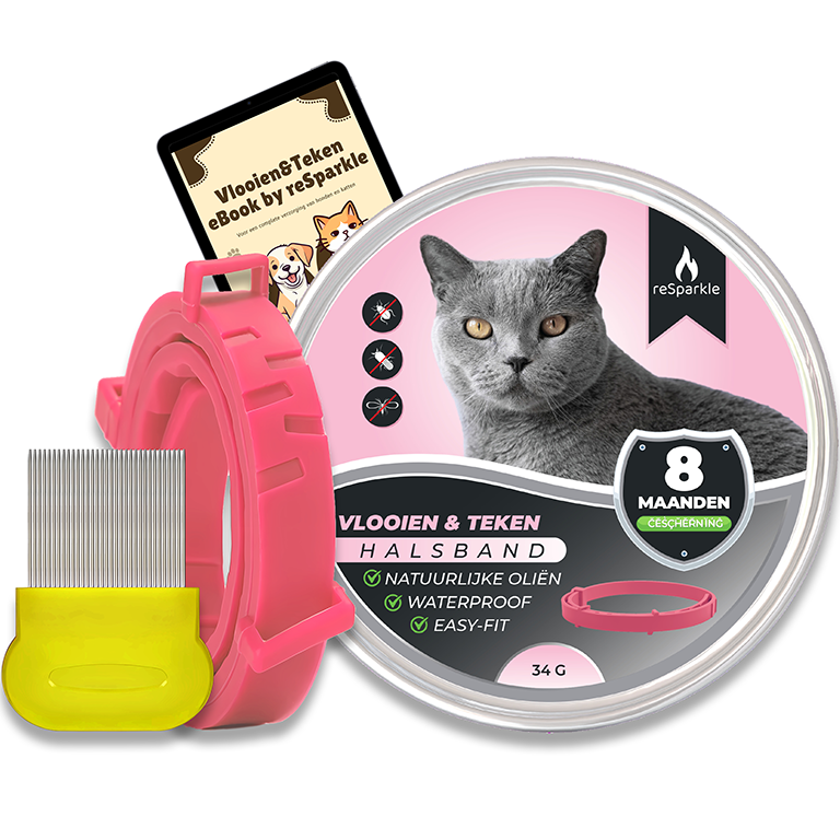 Main_Picture2_Pink_768