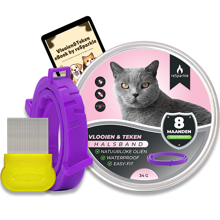Main_Picture2_Purple_768
