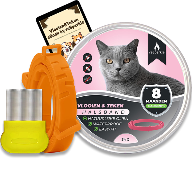 Vlooienband_Kat_Orange