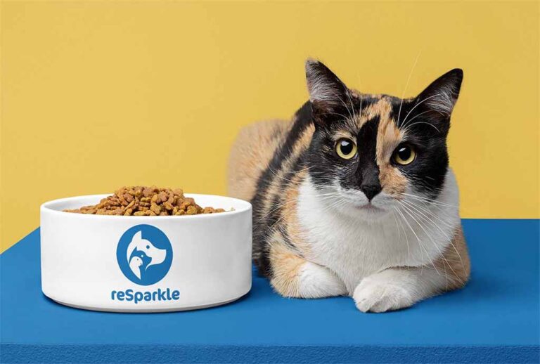 Blog wat eet een kat