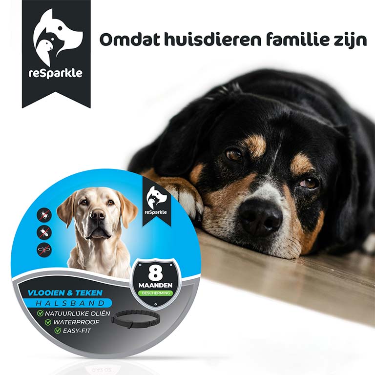 Vlooienband Hond incl Vlooienkam & eBook - Afbeelding 8