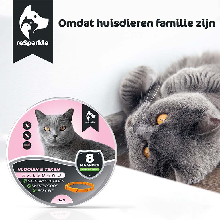 Vlooienband Kat incl Vlooienkam & eBook - Afbeelding 8