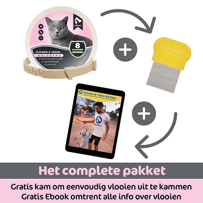 Vlooienband Kat incl Vlooienkam & eBook - Afbeelding 6