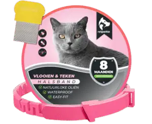 Afbeelding zonder ALT